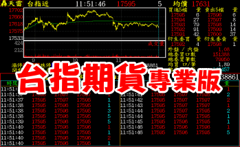 台指期貨專業版